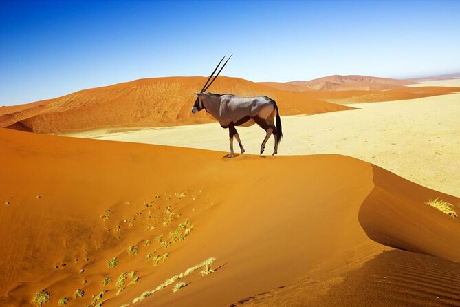 10 Day Discover Namibia Small Group Safari - Windhoek Arrival and the Quiet Start That Helps You Adjust