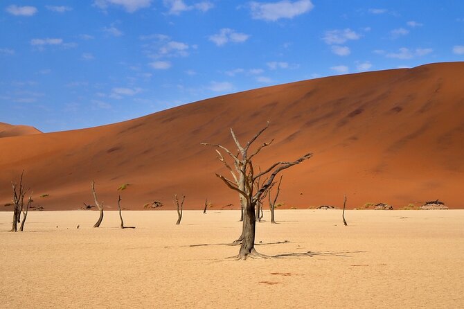 10 Day Discover Namibia Small Group Safari - Namib-Naukluft to Elim Dunes: Your First Real Desert Night