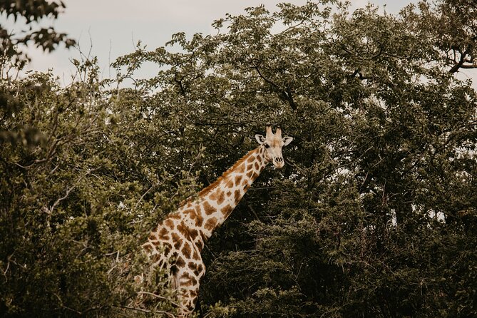 10 Day Discover Namibia Small Group Safari - Swakopmund Full Day: Choose Adventure or Let the Day Breathe