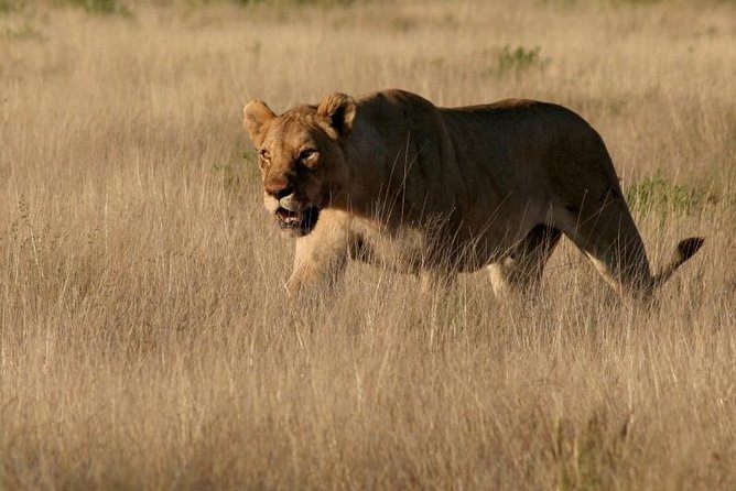 10-Day Namibia Highlights Guided Tour from Windhoek - Why this Namibia route feels efficient, not rushed