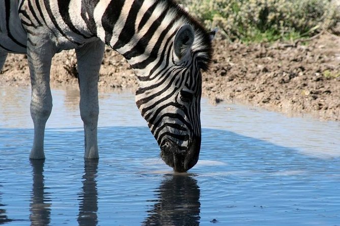 10-Day Namibia Highlights Guided Tour from Windhoek - Day 1: Namib Desert intro via Spreetshoogte Pass and lunch in Solitaire