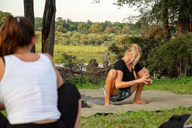 10-Day Private Yoga Adventure in Namibia - Day-by-day: Naankuse Wildlife Sanctuary to Etosha National Park