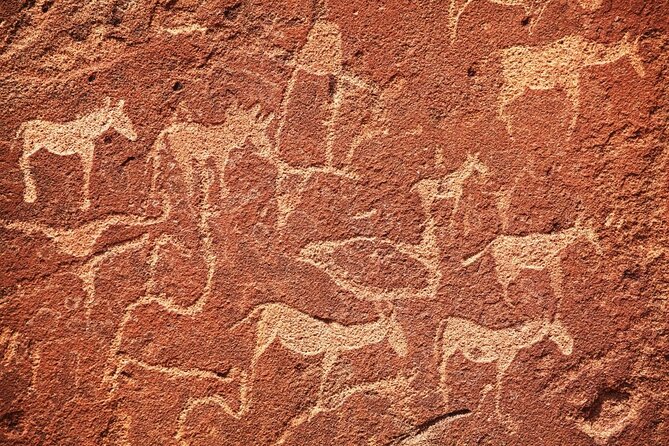 10 DAYS BEAUTY OF NAMIBIA | Guided Lodge - Key things that make this tour work so well