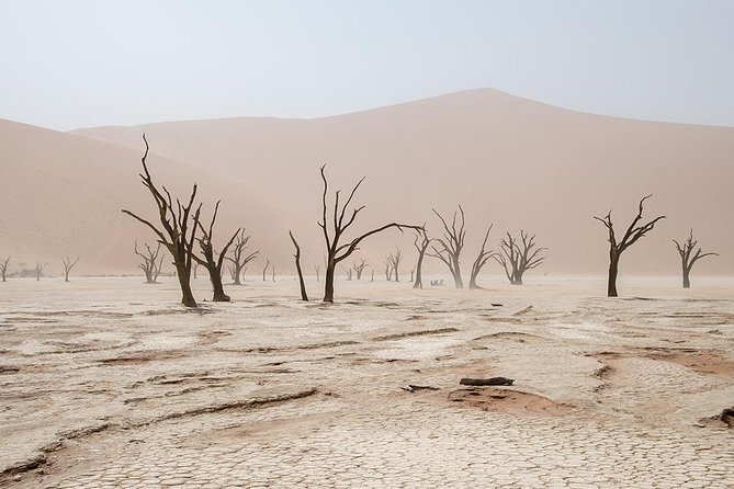 10 DAYS BEAUTY OF NAMIBIA | Guided Lodge - Etosha National Park, game drive plus Okaukuejo waterhole