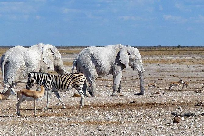 10 DAYS BEAUTY OF NAMIBIA | Guided Lodge - Swakopmund and the Zeila Shipwreck, coastal Namibia with a different pace