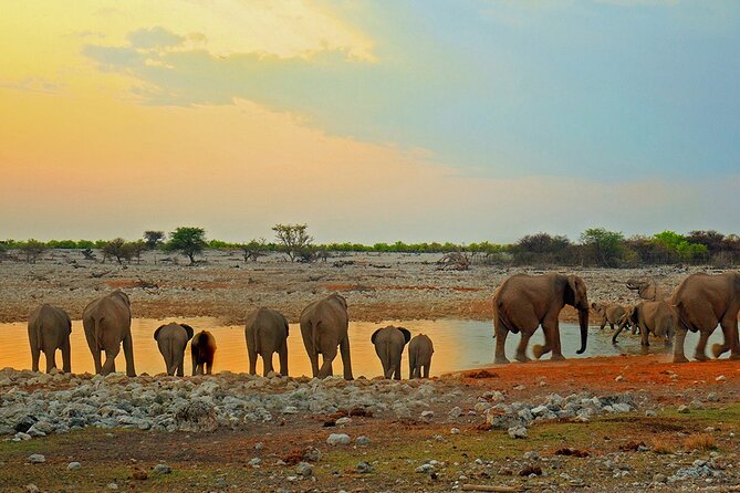 10 DAYS BEAUTY OF NAMIBIA | Guided Lodge - Sossusvlei and Deadvlei, Dune 45, plus Sesriem Canyon in one big desert day