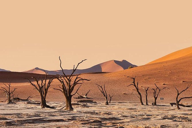 10 DAYS BEAUTY OF NAMIBIA | Guided Lodge - Himba culture and Damara heritage, two different ways of seeing people and place