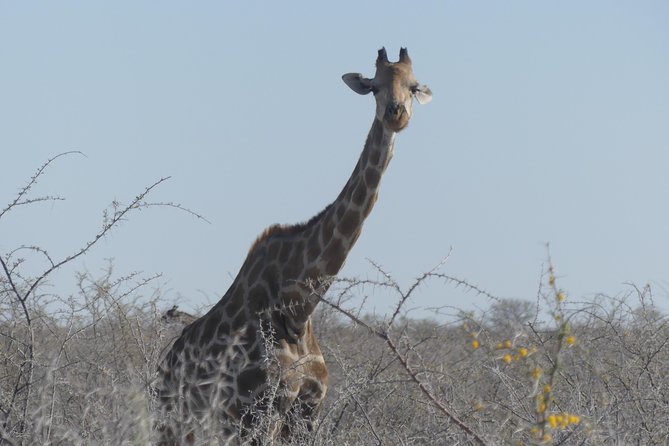 10 Namibia Adventures - Day 1 in Windhoek: get your bearings and prep for the real trip