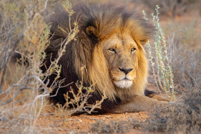 10 Namibia Adventures - Sossusvlei sunrise: dune 45, Deadvlei, and Sesriem canyon timing