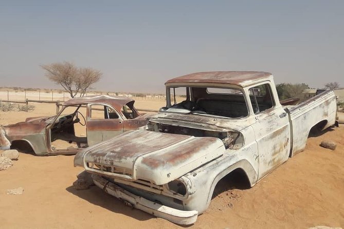 10 Namibia Adventures - Swakopmund and the Kuiseb Pass: birds on the way to the coast