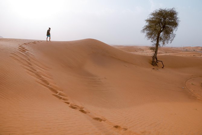 10 Namibia Adventures - Etosha Pan: salted ground, waterholes, and game drives in your own vehicle