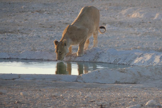 10 Namibia Adventures - Solitaire, Elim dunes, and the run-up to Sossusvlei