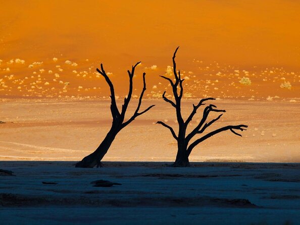 11 Days Small Group Namibia Experience Fully Accommodated Tour - What Makes This Tour Worth Your Attention