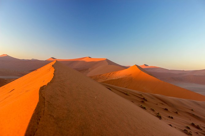 11 Days Small Group Namibia Experience Fully Accommodated Tour - Day 1: Windhoek Pickup, Then Straight Into the Kalahari Mood