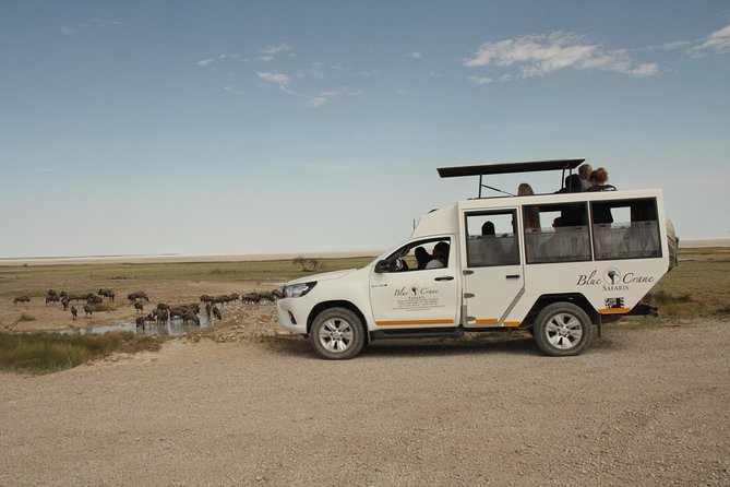 11 Days Small Group Namibia Experience Fully Accommodated Tour - Day 4: Tropic of Capricorn, Walvis Bay Lagoon, and Swakopmund’s German Coast
