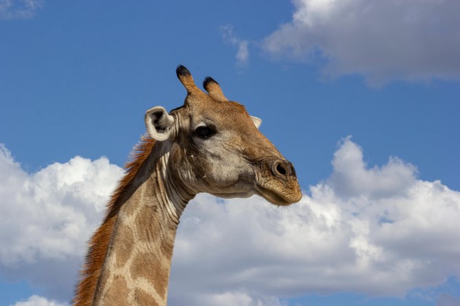 11 Days Small Group Namibia Experience Fully Accommodated Tour - Day 4 Added Stop: The Tropic of Capricorn Sign