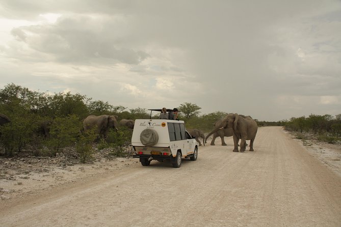 11 Days Small Group Namibia Experience Fully Accommodated Tour - Day 5: Free Time in Swakopmund, With Optional Adventure If You Want It