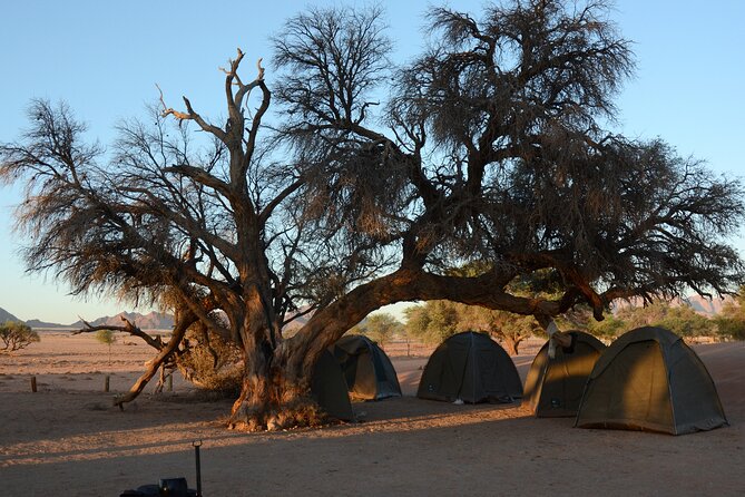 12 Day Classic Namibia Camping Safari - Day 5 and 6 on the Skeleton Coast: Cape Cross, Seals, Shipwrecks, and Swakopmund Reset
