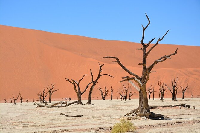 2 Days Guided Tour in Sossusvlei and Sandwich Harbor - The Namib Desert Drive That Sets the Tone