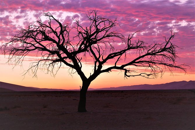 2 Days Sossusvlei Private Camping Tour - Why this 2-day private Sossusvlei plan is the smart move from Windhoek