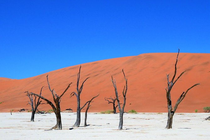 2 Days Sossusvlei Private Camping Tour - Camping night: what is included, what you must bring, and how to plan comfort