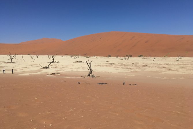 3 Day Camping safari at Sossusvlei - Key highlights to know before you go