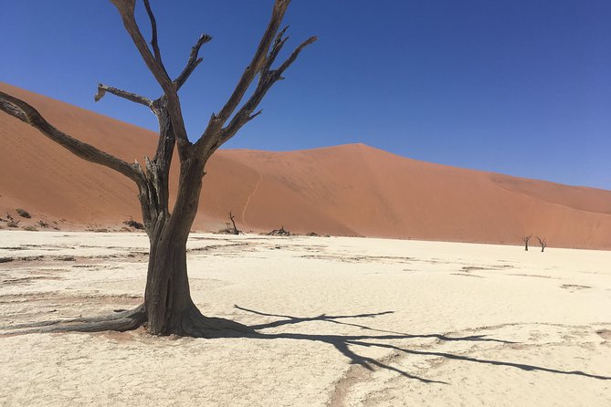 3 Day Camping safari at Sossusvlei - Who this tour suits best (and who should reconsider)