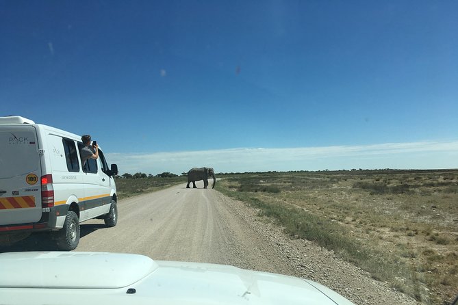 3 Day Camping tour at Etosha National Park - Price and value: is $850 fair for this kind of safari?