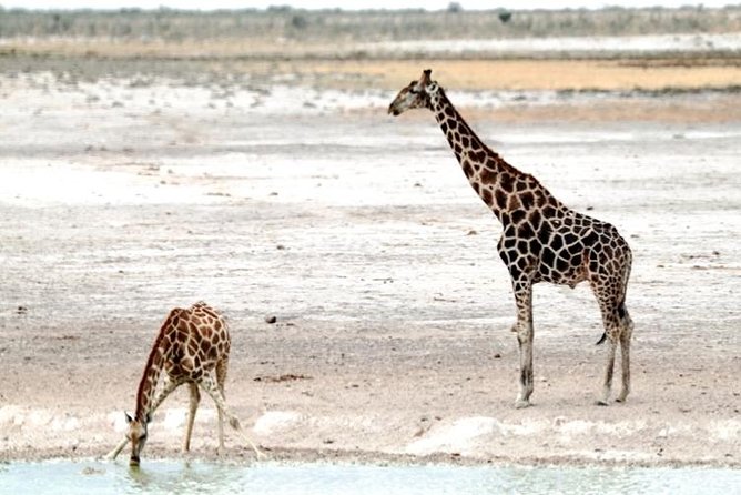 3 Day Etosha Budget Camping Safari - What to Pack for Etosha Camping, Especially the Sleeping Bag