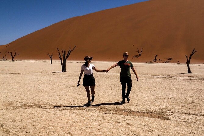 3-Day Scenic Sossusvlei Adventure in Namibia from Swakopmund - Quick hits: what makes this Sossusvlei circuit worth it