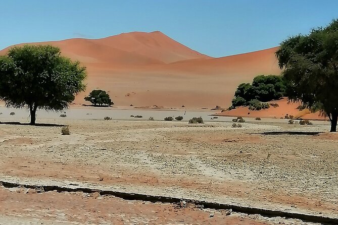 3-Day Scenic Sossusvlei Adventure in Namibia from Swakopmund - Day 2: Sossusvlei and Deadvlei, where the dunes look close enough to touch