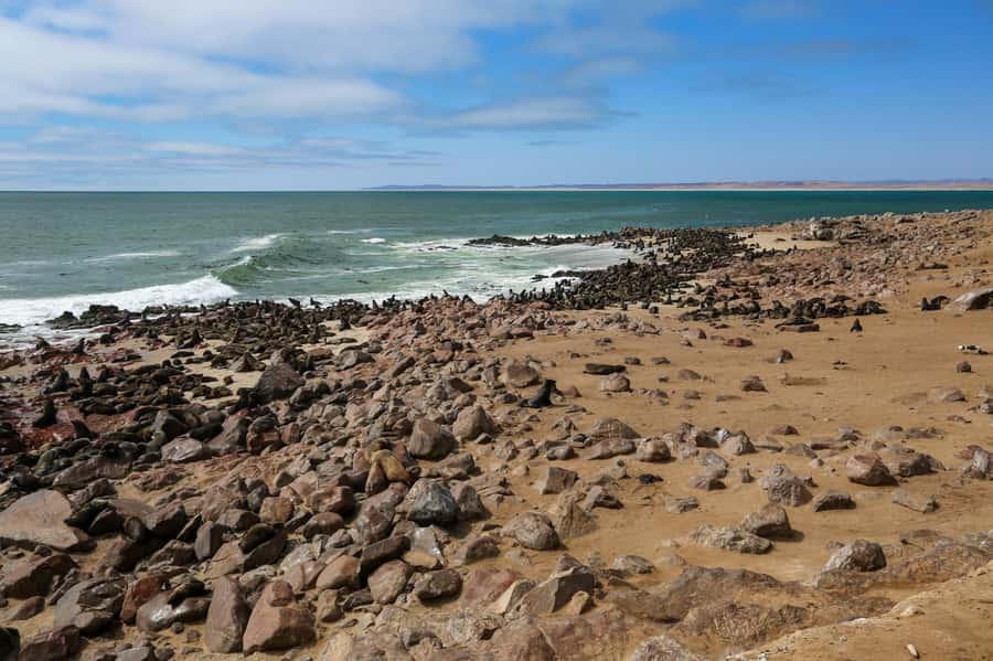 3 day Sossusvlei Camping - Key things I’d plan around