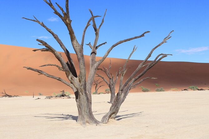 3 Day Sossusvlei Camping Schedule and Sandwich Habor - Day 1: Dune 45 and getting your bearings in the Namib