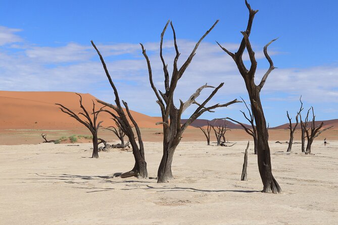 3 Day Sossusvlei Camping Schedule and Sandwich Habor - The guide and group size: why small matters on this route