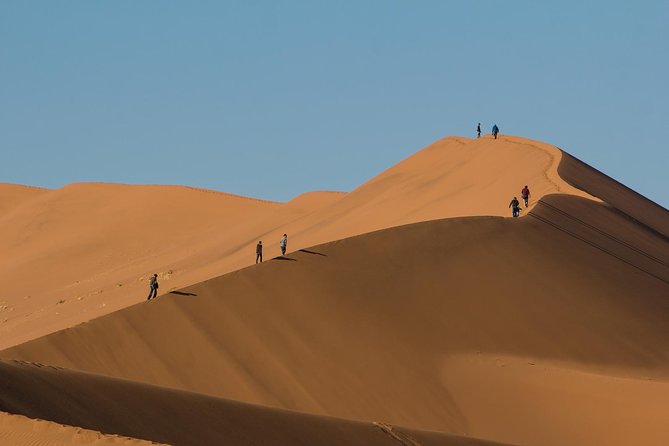 3-Day Sossusvlei Express Accommodated Safari from Swakopmund - Guide Quality and On-Time Driving: Why the Small Details Matter