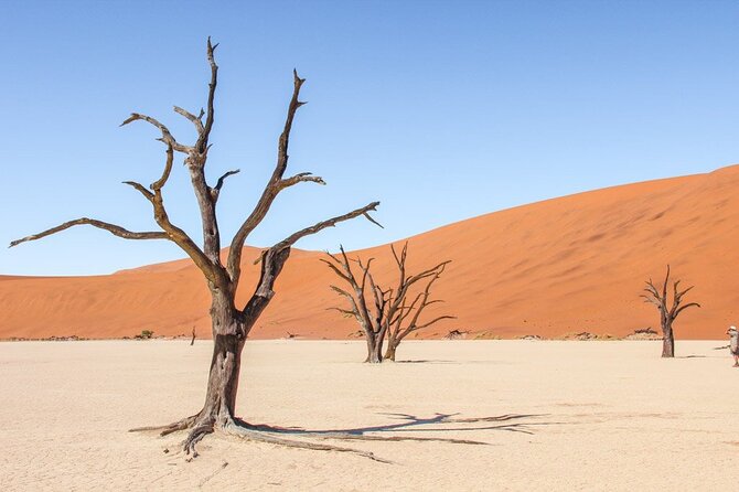 3 Days Amazing Red Dunes of Sossusvlei | Private Guided Tour - Solitaire: the quirky desert outpost that resets your mood