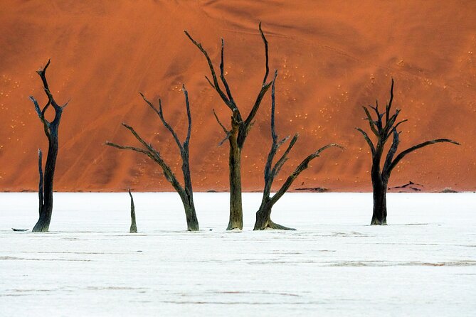 3 Days Amazing Red Dunes of Sossusvlei | Private Guided Tour - Deadvlei: white clay pan, red dunes, and time-stopped trees