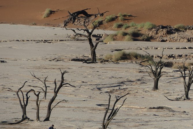 3 Days Amazing Red Dunes of Sossusvlei | Private Guided Tour - Sossusvlei: salt and clay pans inside the dune world