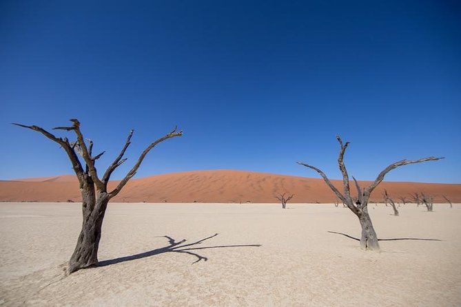 4-Day Swakopmund And Sossusvlei Accommodated Adventure from Windhoek - Price and what you get for about $1,299 per person