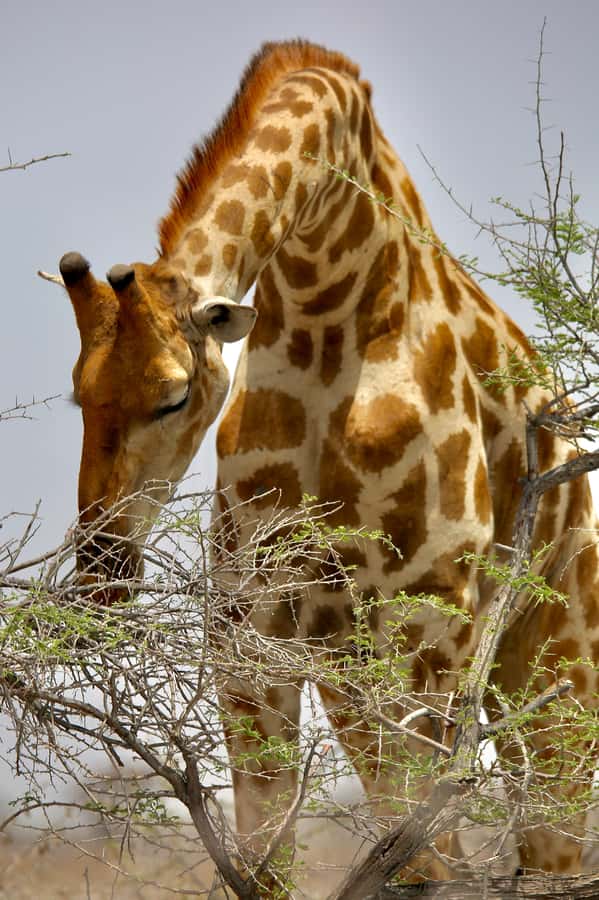 5 days Sossusvlei, Swakopmund and Spitzkoppe Camping - Price and value: what you are paying for, and what you still cover