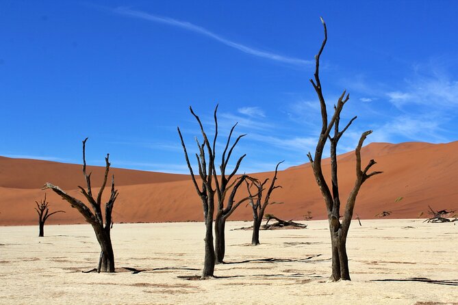 6 Day Private Guided Accommodated Namibian Loop - Sunrise in Sossusvlei: Deadvlei shadows and fairy circle explanations