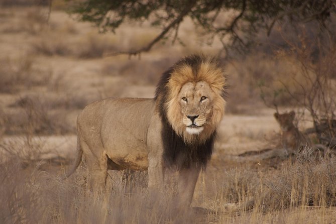 6 Day Private Guided Accommodated Namibian Loop - Full day Etosha: waterhole-to-waterhole viewing that makes sense