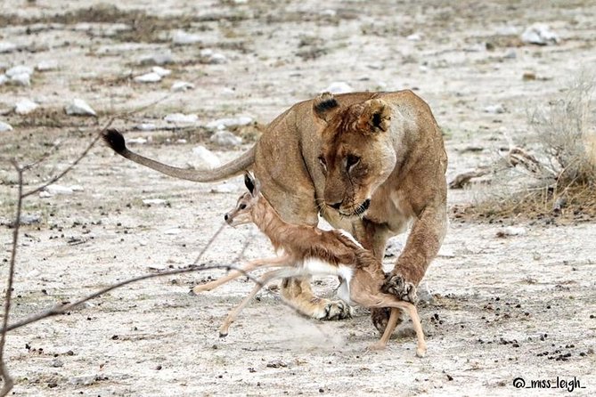 6 Day Sand, Sea & Etosha Budget Camping Safari - Day 3: Across the Namib, Tropic of Capricorn photos, and on toward Swakopmund