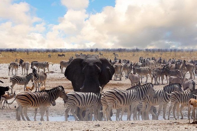 6 DAYS ETOSHA,SWAKOPMUND & SOSSUSVLEI- NAMIBIA (Lodging) - Lodging and atmosphere: what you can expect beyond the brochure