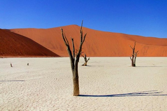 7 Day - Kalahari TOP attractions - Kolmanskop Ghost Town and Fish River Canyon sunset