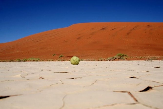 7 Day - Kalahari TOP attractions - Price and value: what the $2,185.90 rate covers