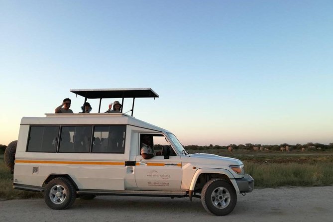 7 Day - Kalahari TOP attractions - Road trip to Luderitz: desert horses, Diaz Cross, and coastal contrasts