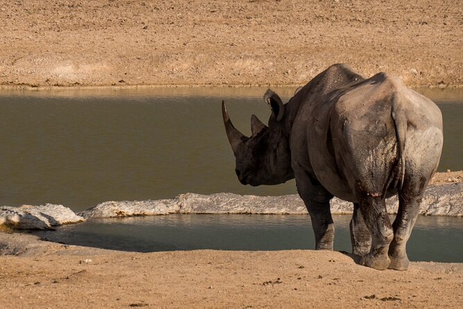 7 Day Taste of Namibia Lodging Safari - Damaraland, Brandberg country, and human stops that feel like real life