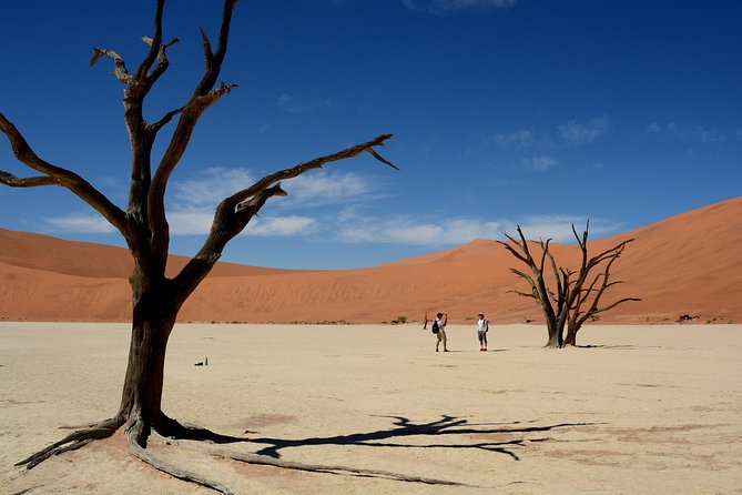 9 Day Canyons, Dunes & Wildlife Camping and Lodge Safari - Etosha Pan morning predators and an evening exit before sunset