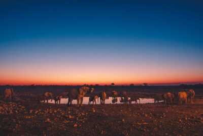 9 Day Etosha, Skeleton Coast and Sossusvlei Camping and Lodge Safari